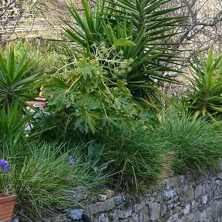 아파트 Casa Lia 아르콜라