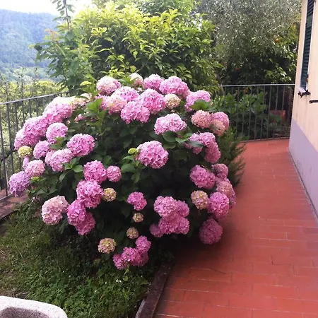 Appartamento Casa Lia