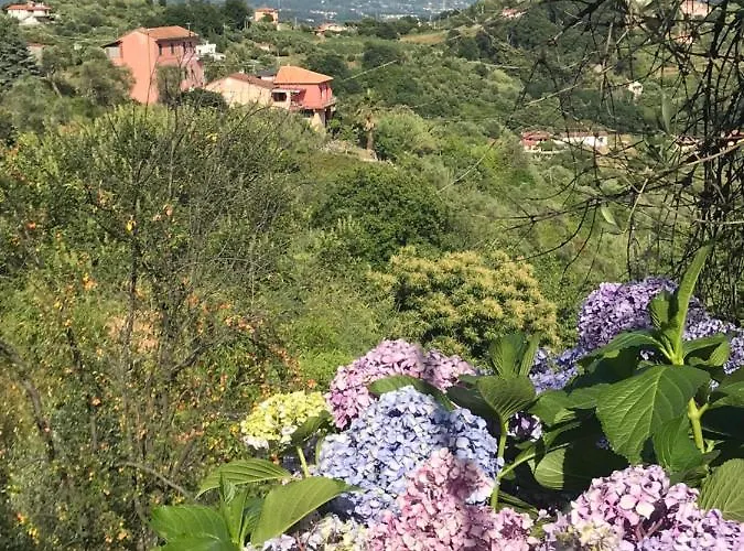 Casa Lia Lejlighed *