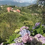 Casa Lia 公寓 *