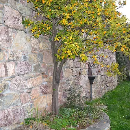 Casa Lia