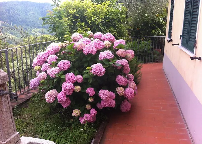 Apartment Casa Lia